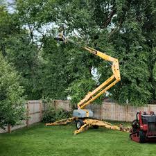 Artificial Turf Installation in Lacombe, LA