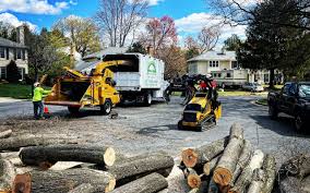 Best Stump Grinding and Removal  in Combe, LA